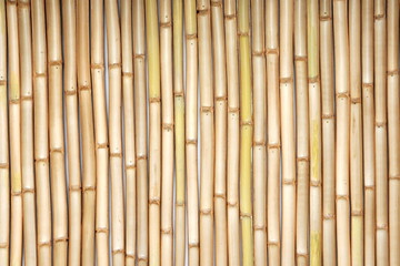 Bamboo wall background
