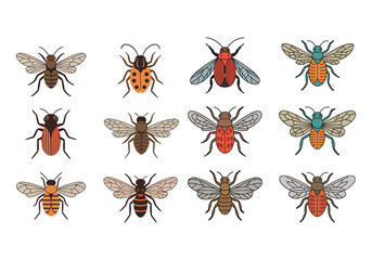 Set of detailed insect illustrations featuring beetles, flies, and bugs