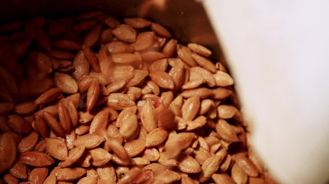 Plum pits separation in distillery