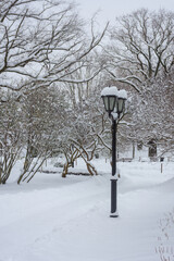 Snowy park of Riga in winter,  Latvia
