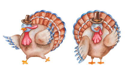 Watercolor set of illustrations. Hand painted turkey birds in pilgrim hats with brown, blue feathers, wings. Cartoon animal character for Thanksgiving. Isolated clip art
