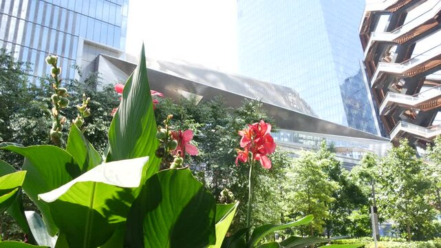 New York City, United States. Hudson Yards urban architecture in Chelsea, NYC Manhattan Midtown, USA. American art landmark and flowers bloom. Spring or summer flowerbed. Greenery and modern buildings