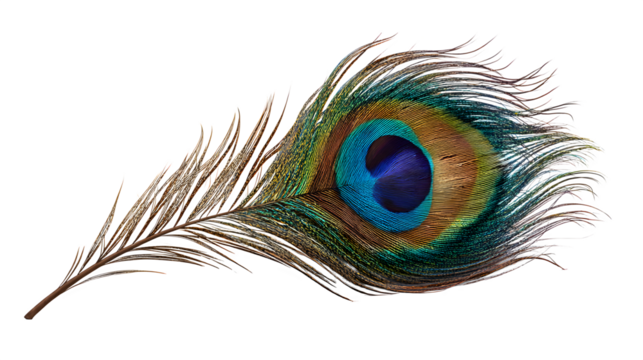 Peacock feather with vibrant colors and fine detail isolated on transparent background, hd realistic 8k, --ar 16:9 --v 7.0 - Powered by Adobe