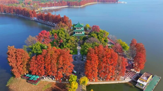 Wuhan East Lake Scenic Area Aerial Photography in Late Autumn