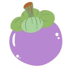 A mangosteen hand drawn clean colorful illustration  
perfect for summer fruit designs, market, dessert gifts, greeting cards, print, textile