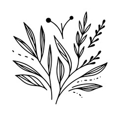 Minimalist Black & White Floral Line Art Illustration