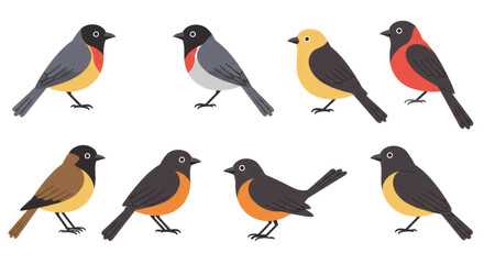 Obraz premium Colorful Bird Artwork Collection On Transparent Background