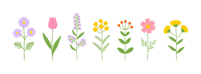 Bright floral illustration features colorful flowers in shades of purple, pink, yellow, orange, and green. Perfect for spring and summer themes, adding vibrancy to designs and decorations!