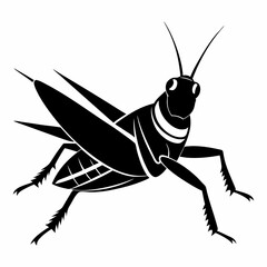 Vector art illustration of a locust