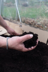 Hand holding compost being put into a raised bed ready for planting