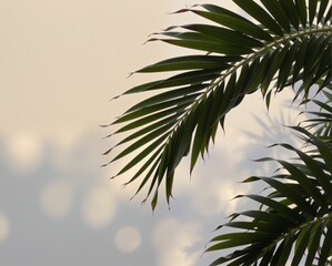 A close-up of a palm leaf casting shadows against a light background, showcasing intricate details and soft light effects.