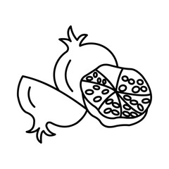 Pomegranate Icon