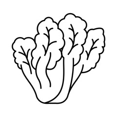 Lettuce Icon