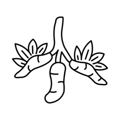 Cassava Icon