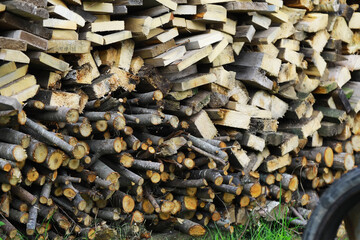 Stacked Firewood at a Sawmill - Piled Logs and Cut Wood Planks for Lumber and Fuel