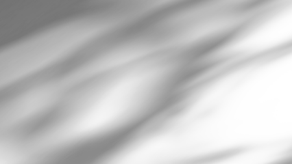 shadow overlay effects of realistic tree branch and leaves shadows isolated on transparent background,mockup of shadow for product presentation, backdrop,Summer sunlight and shadow overla