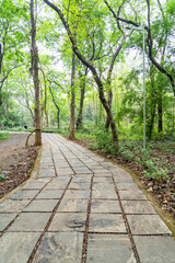 The world's oldest teak plantation, established in 1846 near Nilambur, Kerala, showcasing India's forestry heritage with its historic teak tree and scenic river side. 29 March 2025