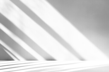 Obraz premium shadow overlay effects of realistic window and tree branch shadow on transparent background,mockup of shadow for product presentation,Summer sunlight and shadow overlay effect