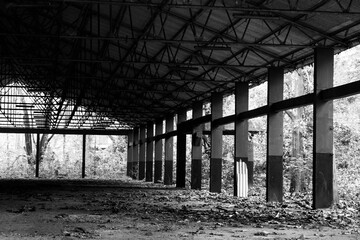 The world's oldest teak plantation, established in 1846 near Nilambur, Kerala, showcasing India's forestry heritage with its historic teak tree and scenic river side. 29 March 2025