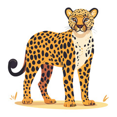 leopard, animal, vector, transparent background