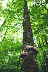Fototapeta premium Nature lover hugging trunk tree - nature loving, fight global warming.