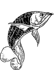 Naklejka premium vector illustration of a fish