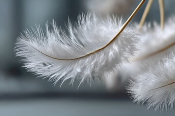 Ethereal white feather drifting gracefully through serene air, capturing the essence of tranquility and lightness in a minimalist backdrop