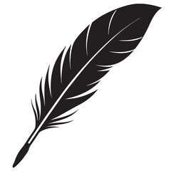 Obraz premium Bird feather isolated white background 