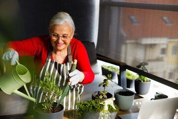 One woman, mature female taking care of her plants in back yard of her home.