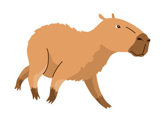 Capybara. Cartoon cute animal, wild herbivore mammal resting. Funny adorable exotic animal relaxing. Cartoon flat vector illustration