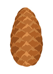 Fir or pine cone. Nature decoration symbol, forest sign. Isolated on white background. Set hand drawn coniferous cone. Colored vector illustration