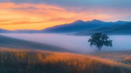 Obraz premium Lonely tree emerging from fog in a golden meadow at sunrise with mountains in the background