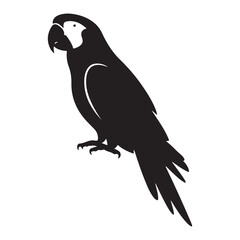 Parrot bird silhoutte illustration  an icon style with a white backraund