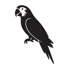 parrot bird silhoutte illustration with a white backraund