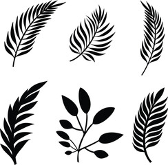 Obraz premium Collection of leaves black silhouette