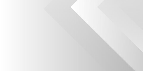 White and gray line geometric concept technology modern futuristic subtle abstract background. Grey white abstract background geometry shine and layer element vector for presentation design. vector.