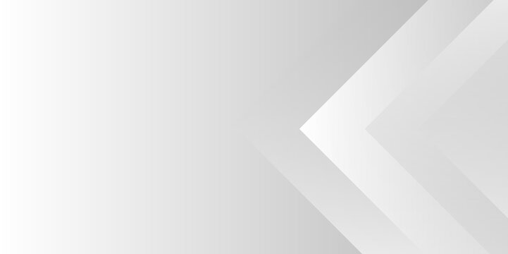 White and gray line geometric concept technology modern futuristic subtle abstract background. Grey white abstract background geometry shine and layer element vector for presentation design. vector.