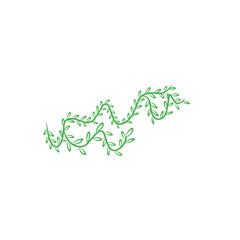 hand drawn vines