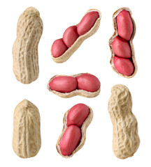  Peanut group isolated, transparent PNG, PNG format, cut out