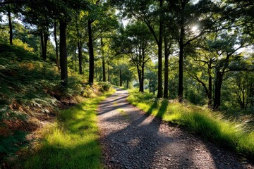 Obraz premium Serene Forest Path Fading into the Distance Among Lush Greenery