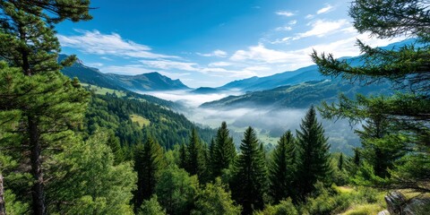 Serene Misty Valley with Lush Trees and Backlighted Landscape