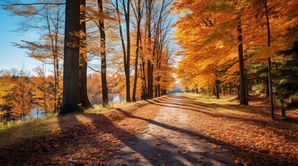 Obraz premium canopy orange and light blue