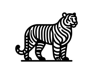 tiger vector illustration