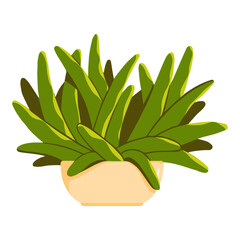 Home plants in flowerpot. Collection of indoor plants. Decorative natural elemen Houseplants isolated. Hand drawn. Set collection. Green, blue, pink, brown, beige pastel colors. Print, poster, banner.