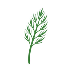 Naklejka premium green dill isolated on white background