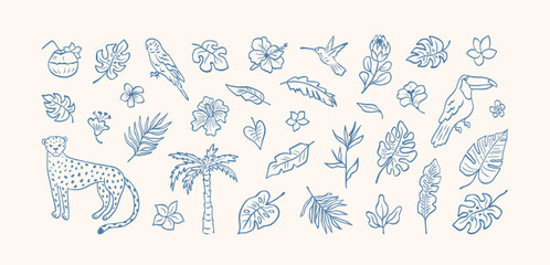 Set of tropical leaves, flowers and wild animal, birds drawing blue ink. Abstract palm, leopard, banana leaf, hibiscus, parrot, exotic plants, plumeria. Minimalist line sketch. Vector illustration. © Anna Bova