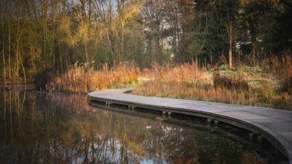 Curved wooden boardwalk over a calm pond, surrounded by reeds and trees at golden hour.
