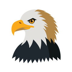american bald eagle