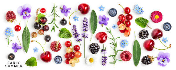 Early summer berries, herbs and flowers photography isolated on white background.
