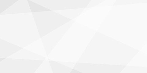 Abstract tringle white and grey  luxury shape grey strips line soft pattern elegent concept for banner, poster, brochure, cut paper vector illustration. 